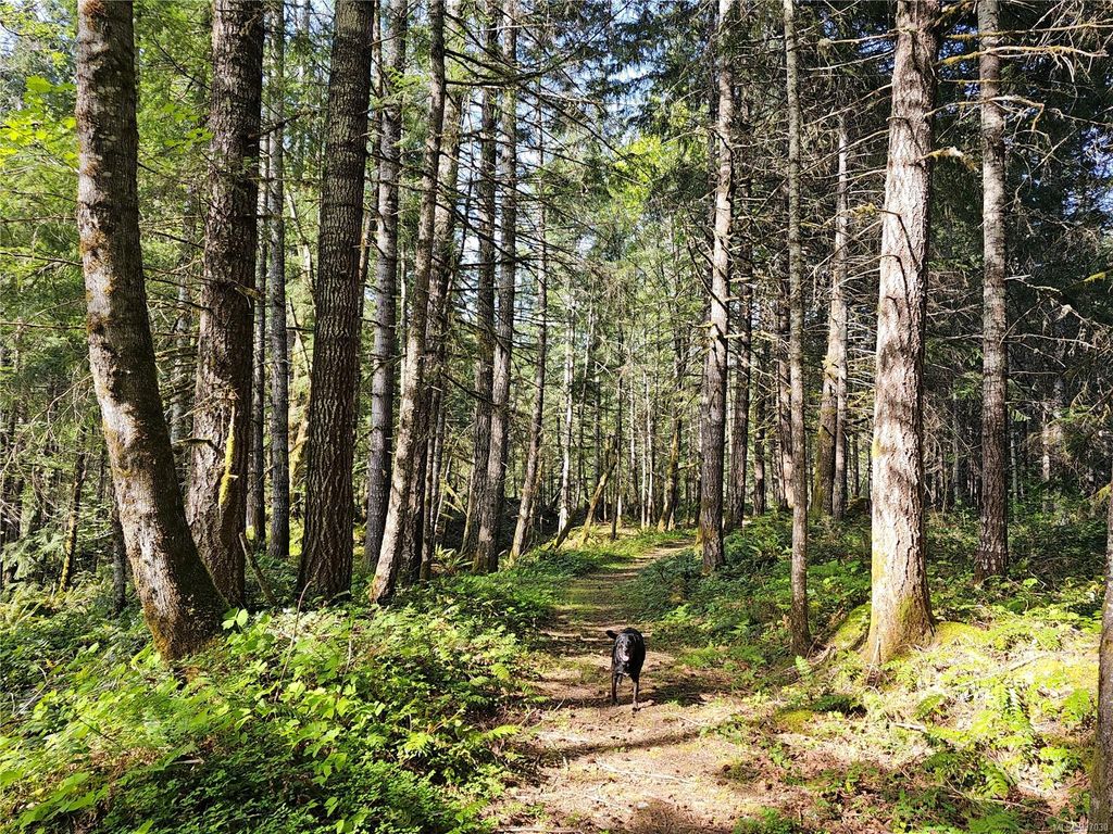 listing image 16046031289922467163