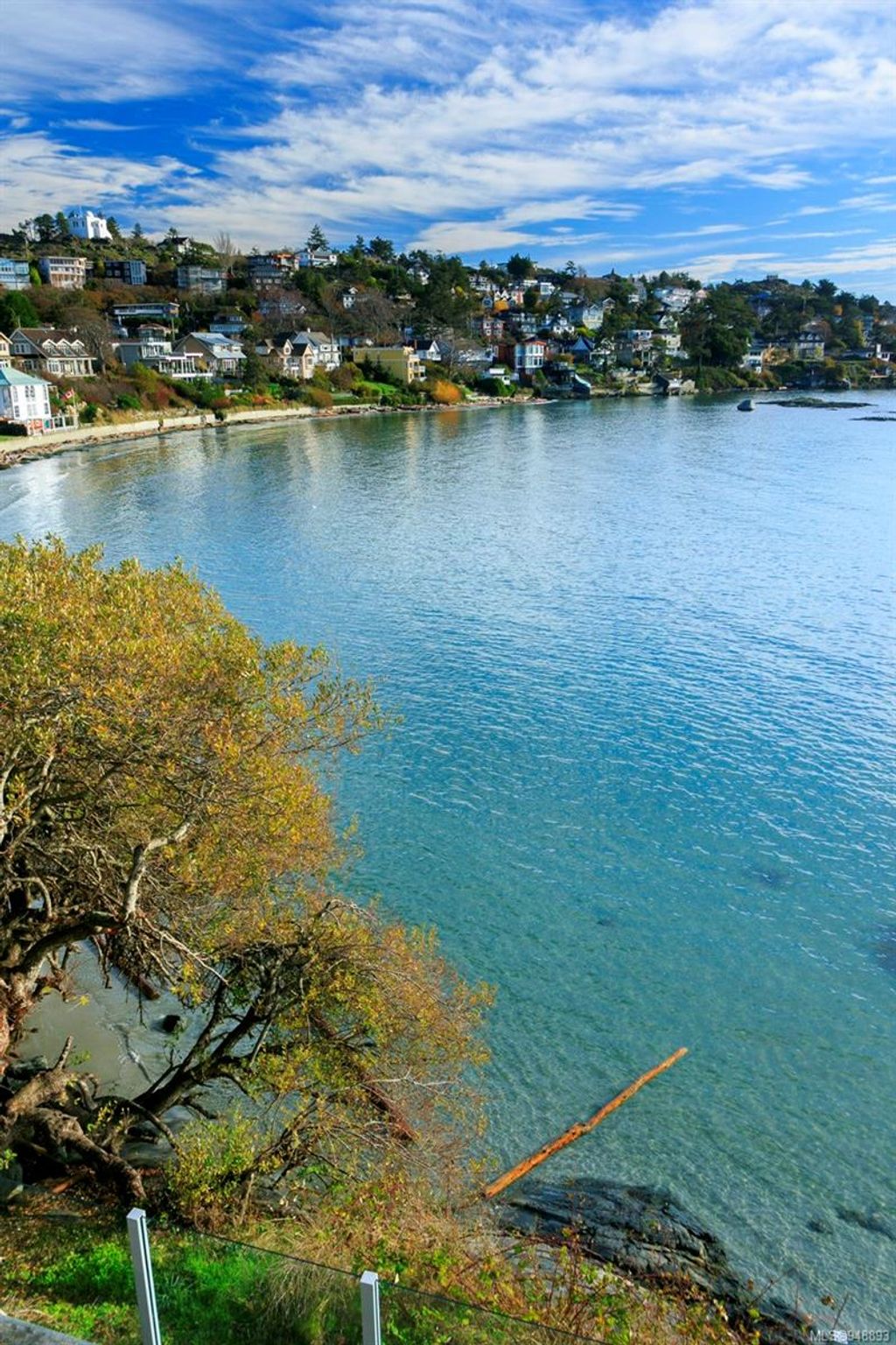 listing image 16047138304060589043