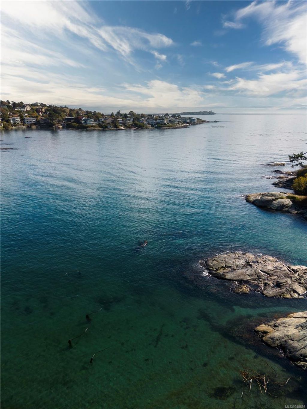 listing image 16041298983363392294