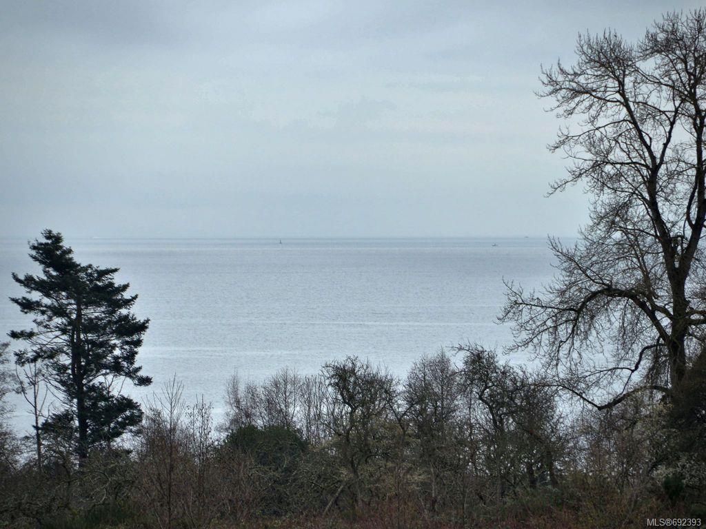 listing image 16046412674307893901