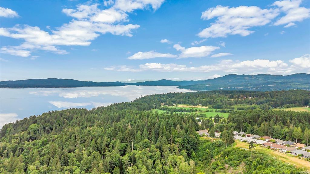 listing image 1604328338658