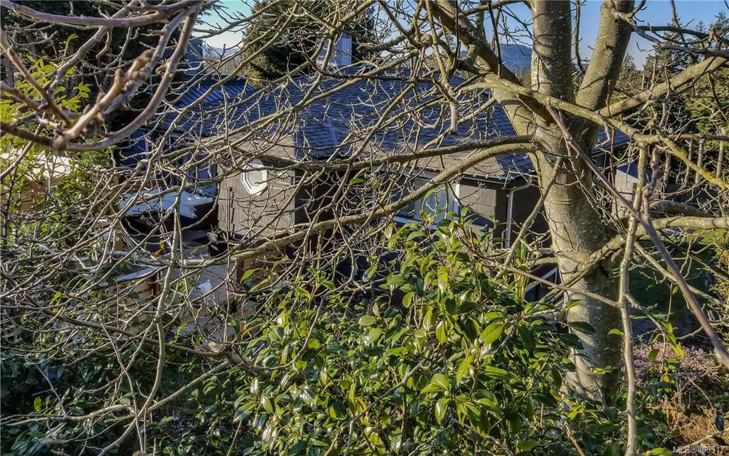 listing image 16042959120559