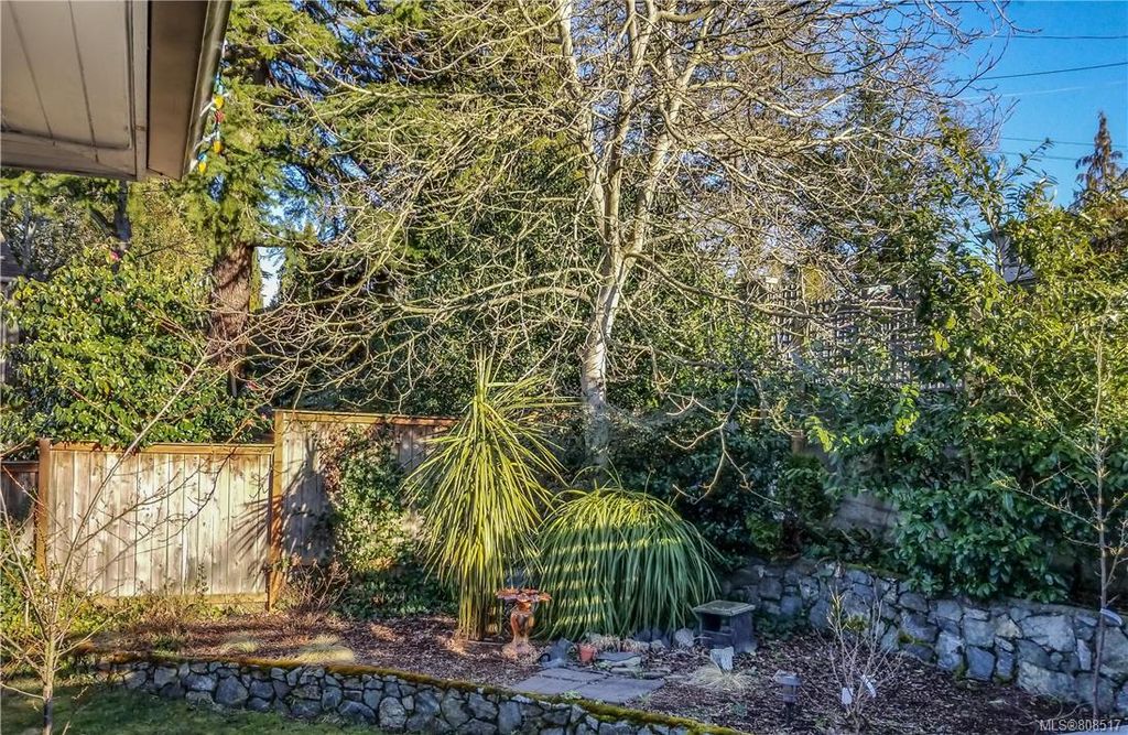 listing image 16042862481349
