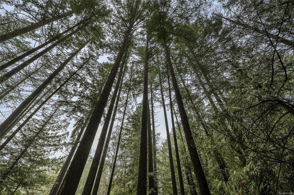 listing image 16045028111325178978