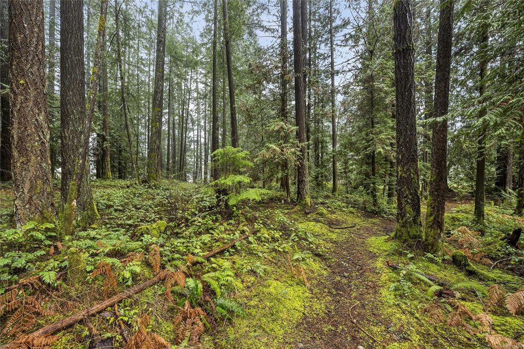 listing image 16044971859437711363