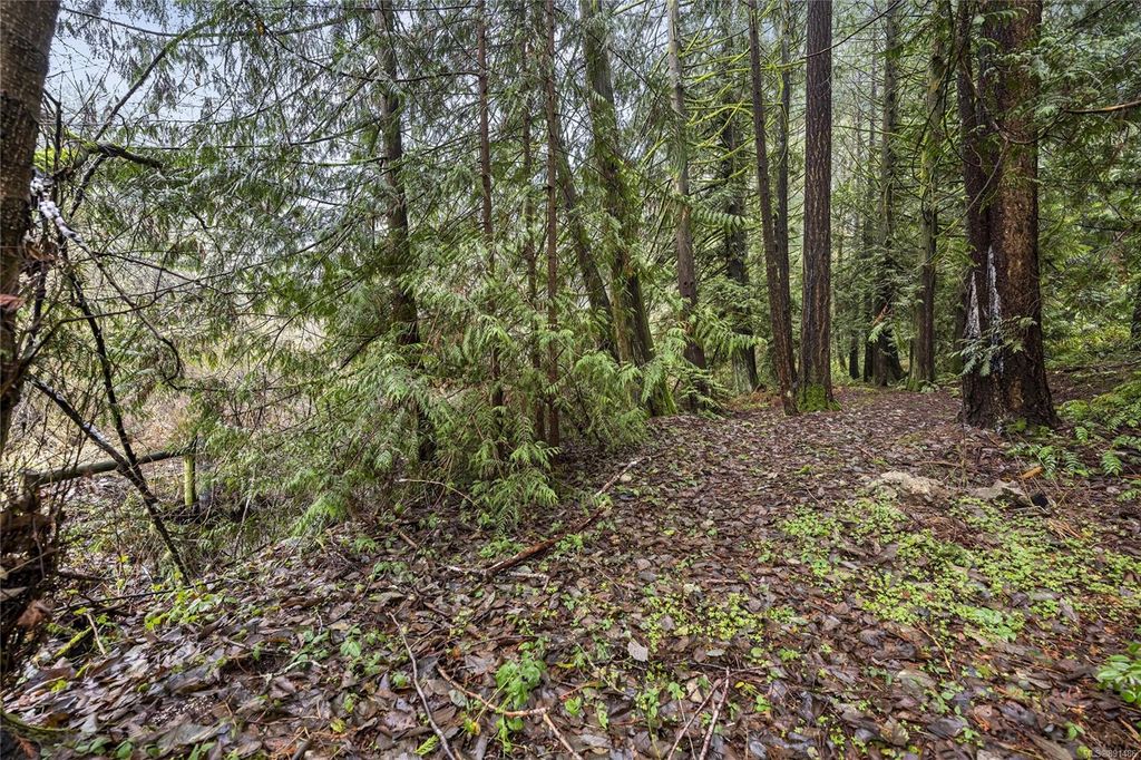 listing image 16049538347897282837