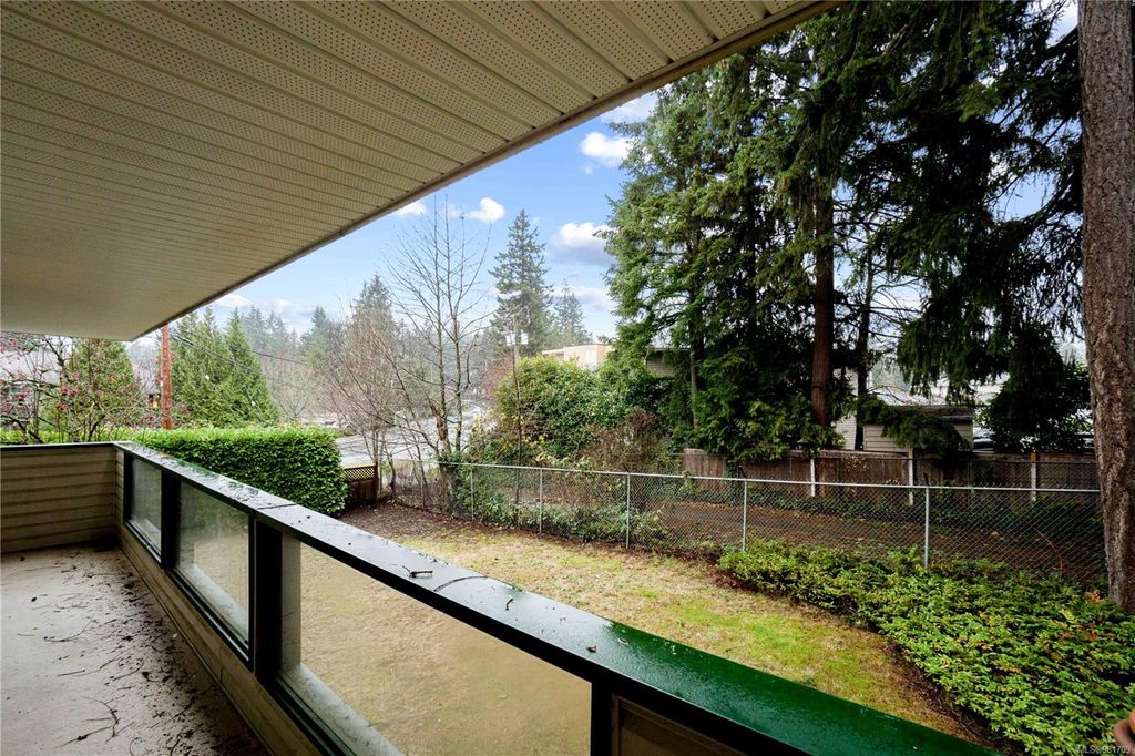 listing image 16049016466650865916