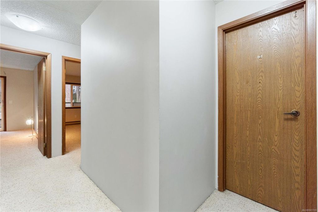 listing image 16042482494516155036