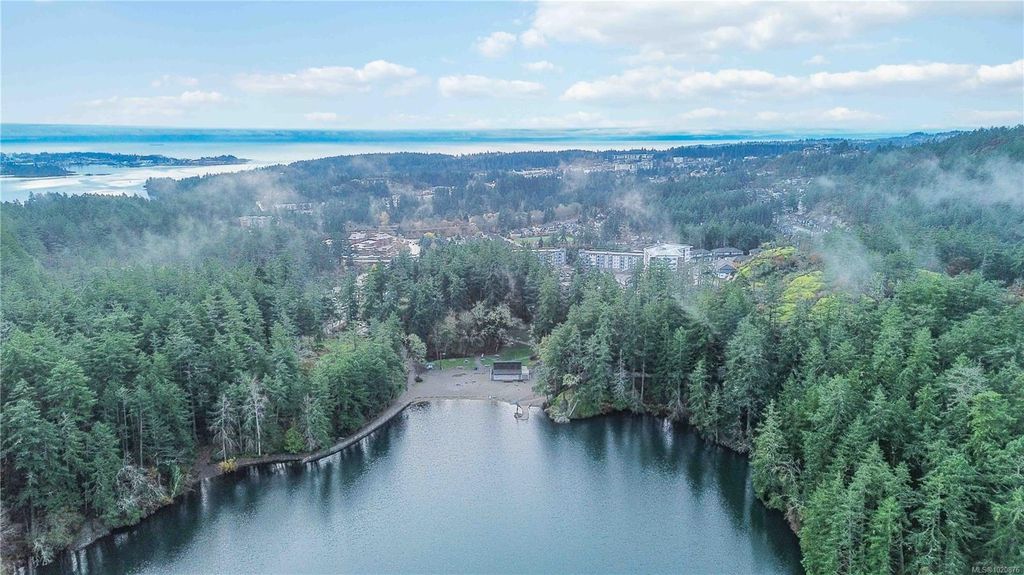 listing image 16047048852700980520