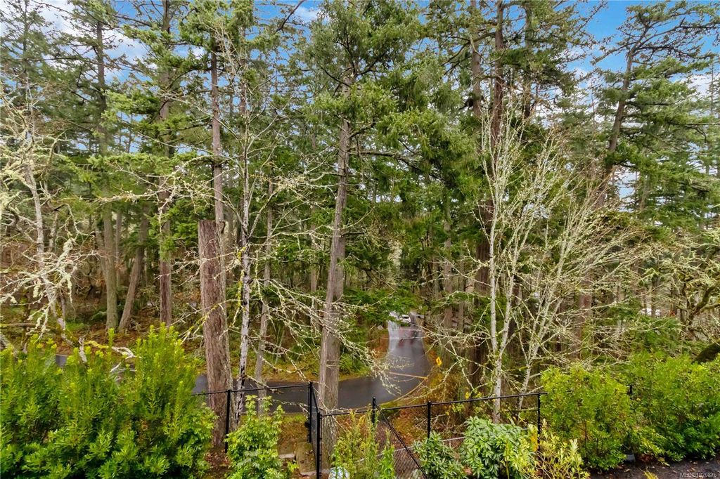 listing image 16040294849164506222