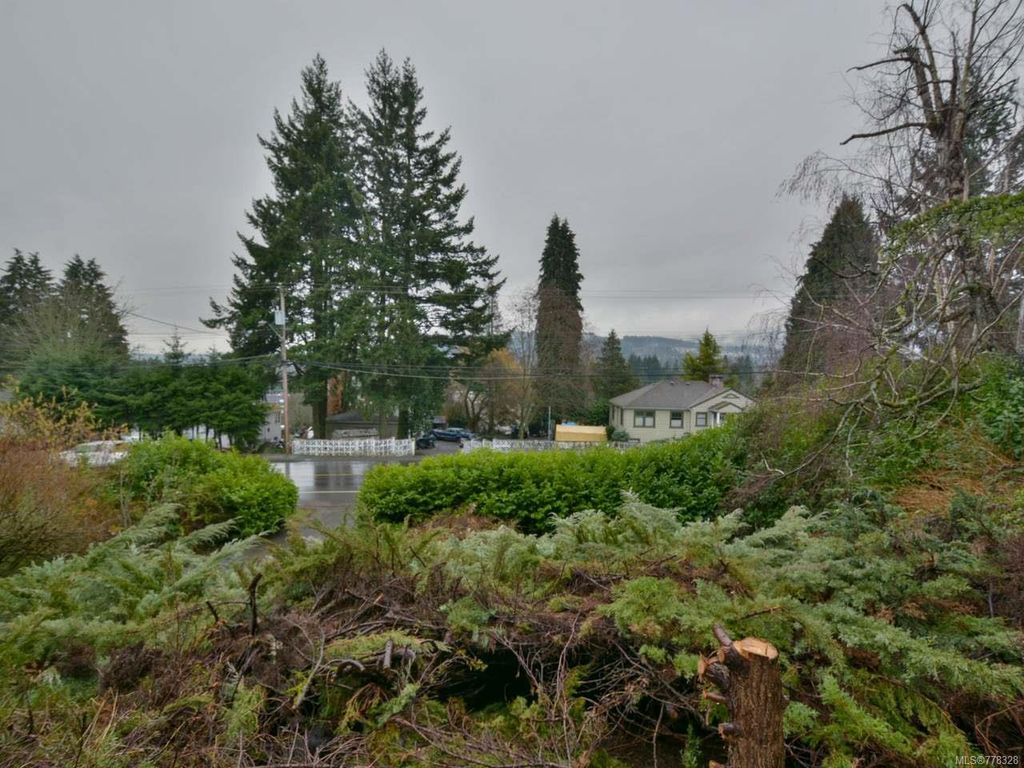 listing image 16046978650248838257