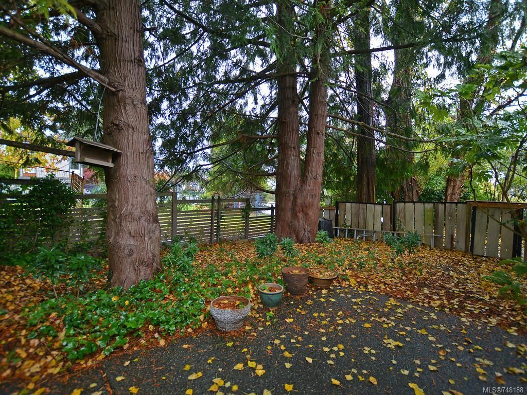 listing image 16042414642003640561
