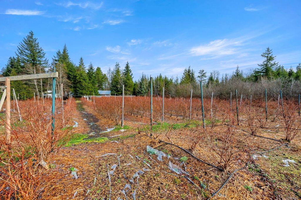listing image 16048407645469742311
