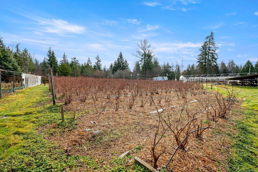 listing image 16040418345867642451