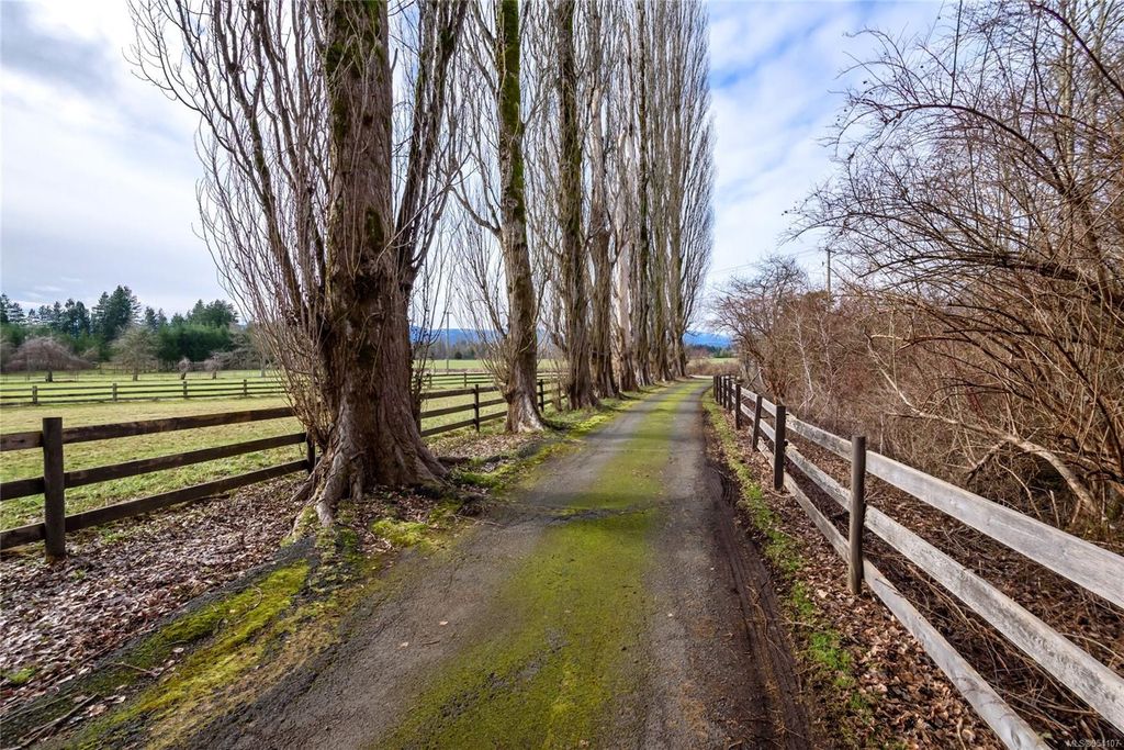 listing image 16049387859160424105