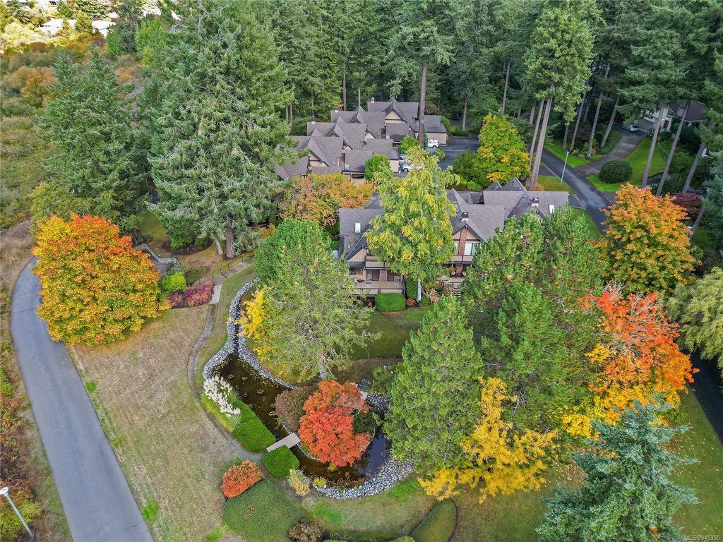 listing image 16043562839062573370