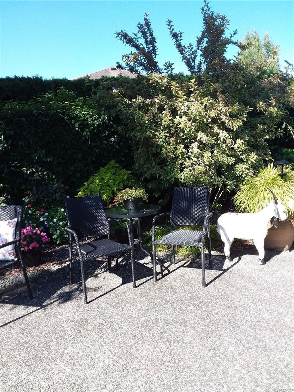 listing image 16043263912928913217