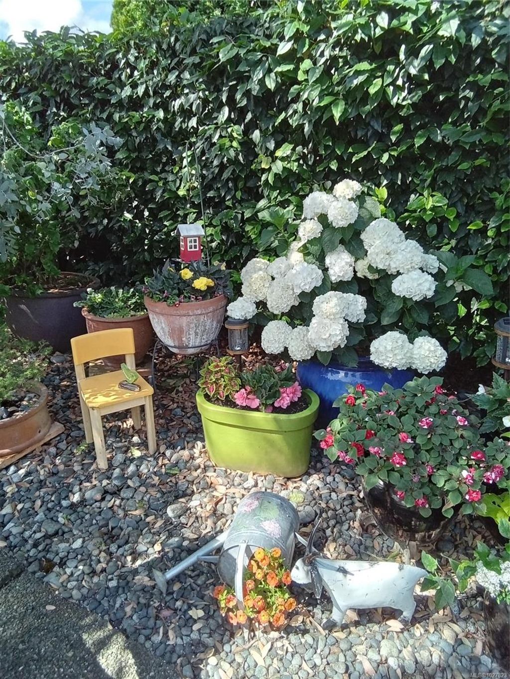 listing image 16041969506689278862