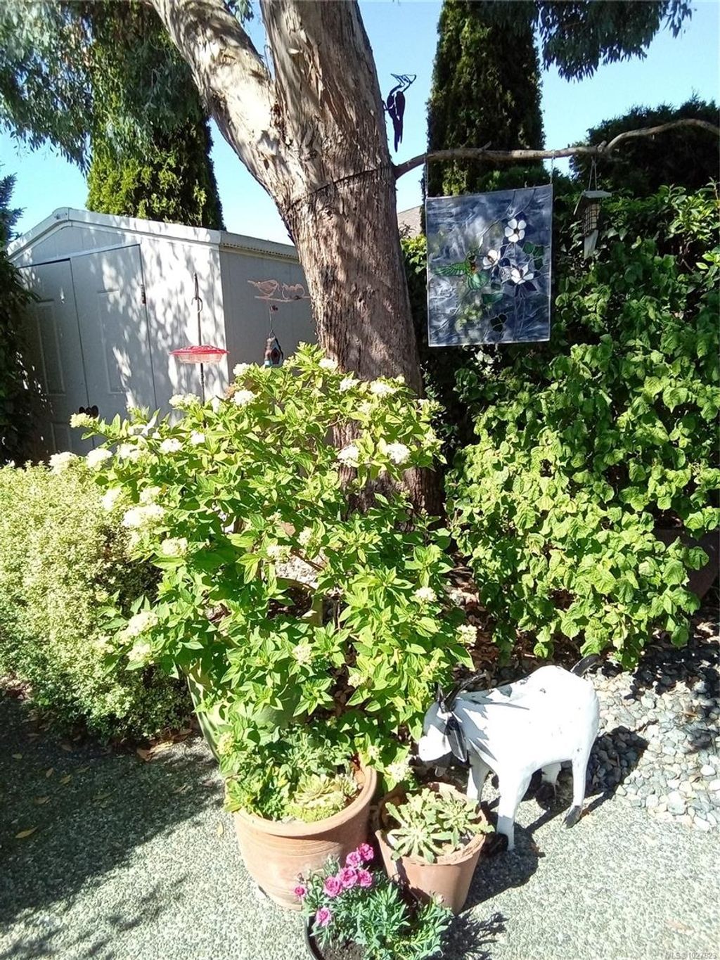 listing image 16045015148105022434