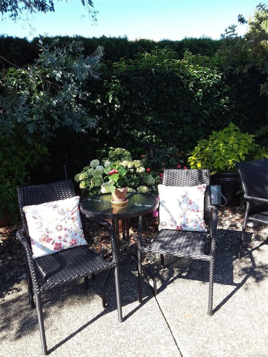 listing image 16048563880576927940