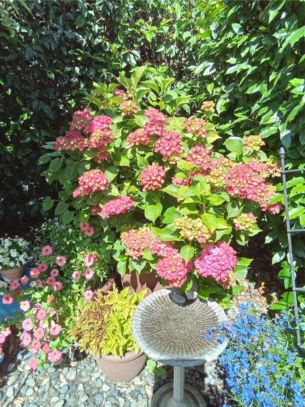 listing image 16049405747468828532