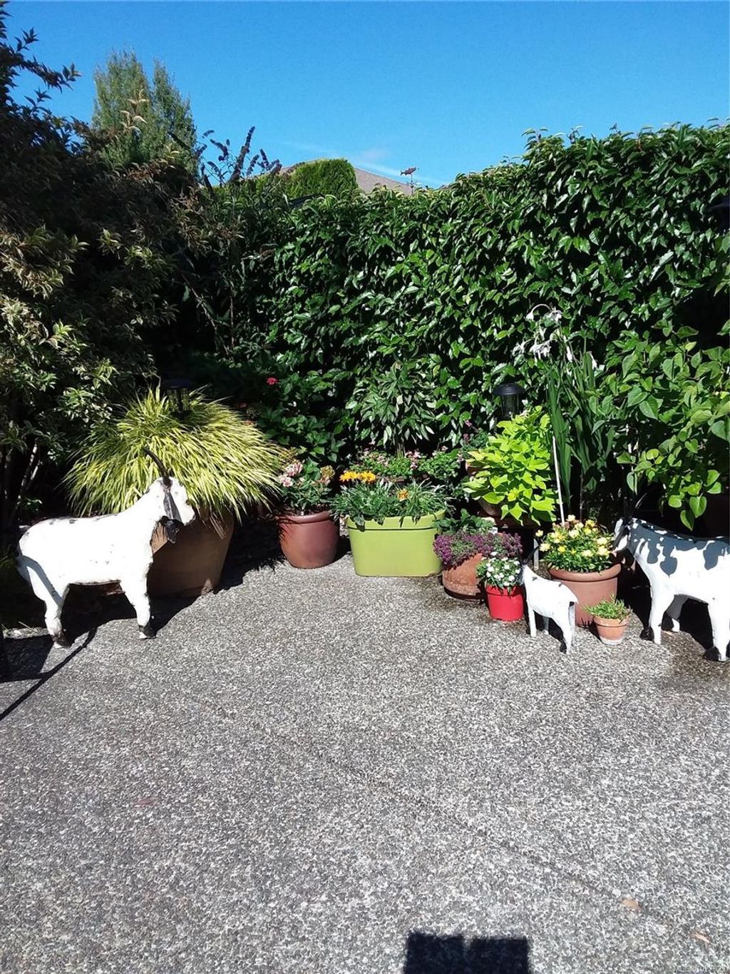 listing image 16041582749601568295