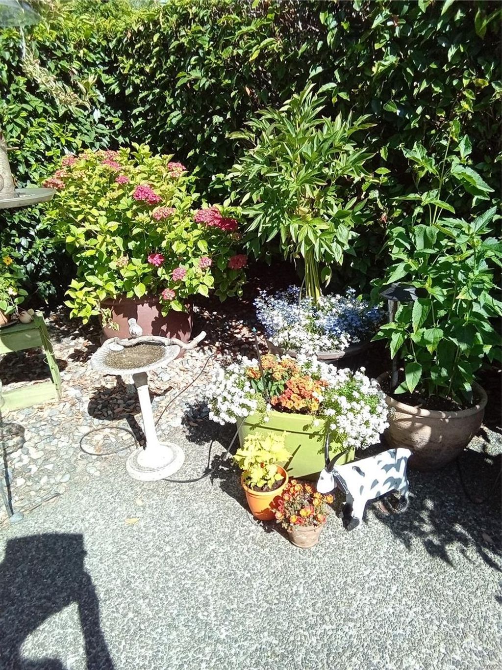 listing image 16043818557143476155