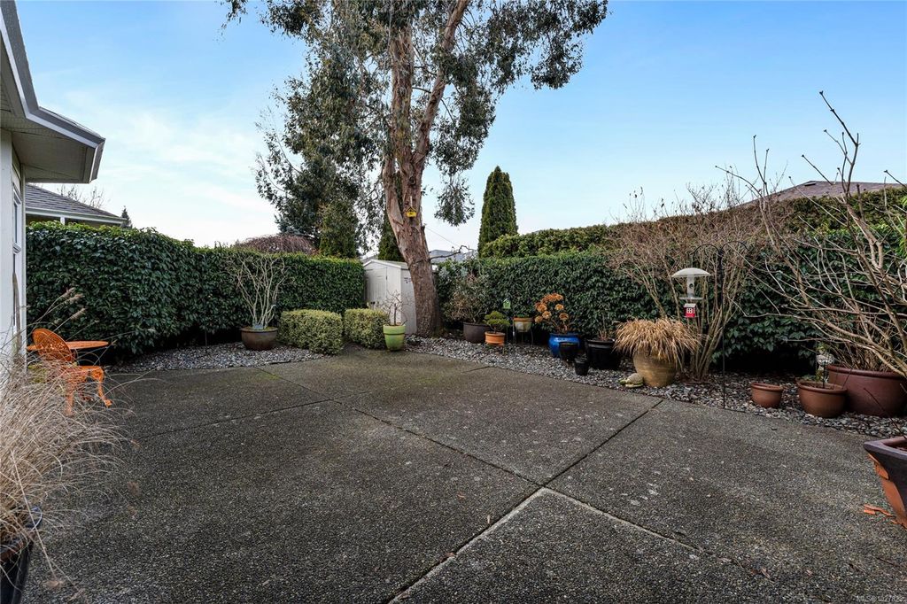 listing image 16047778062256576830