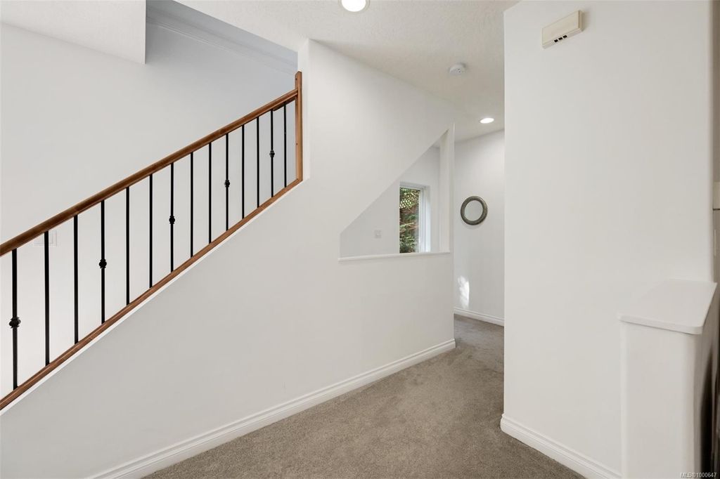 listing image 16048067625478012746