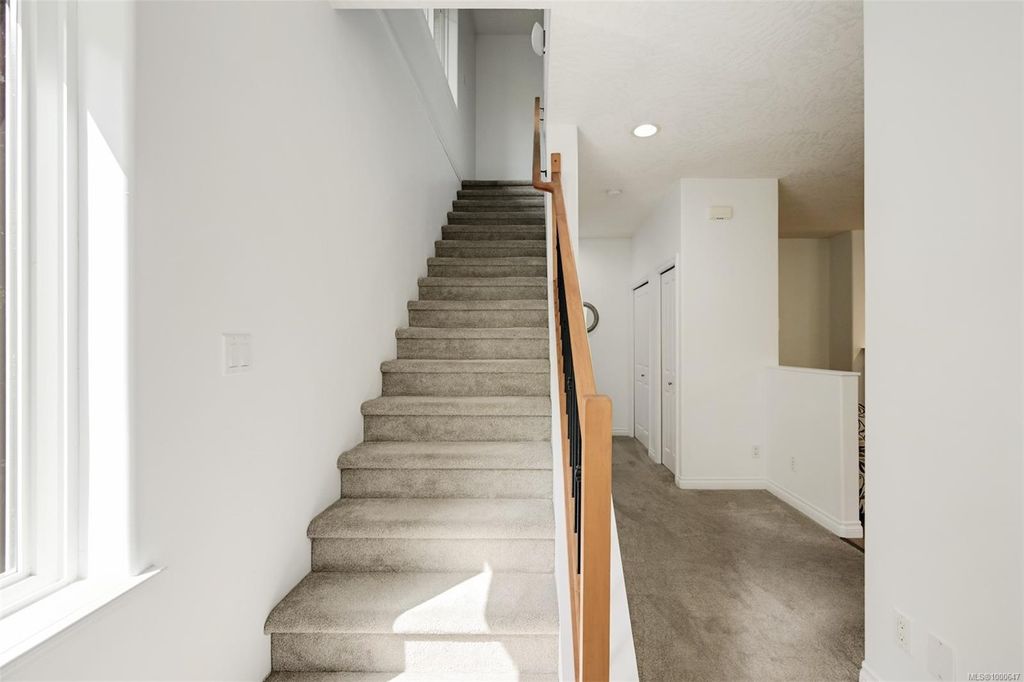 listing image 16042553068281728943