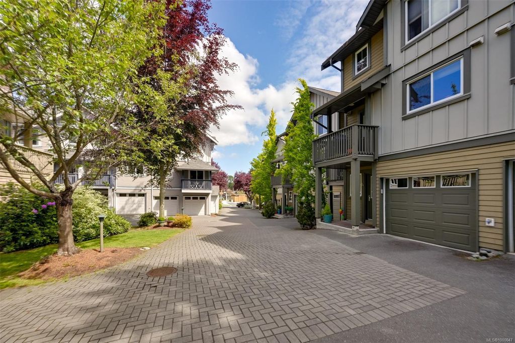 listing image 16043219701574352907