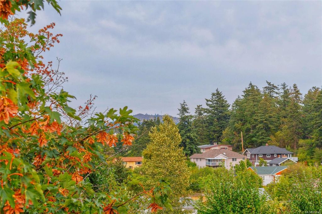 listing image 1604544659699