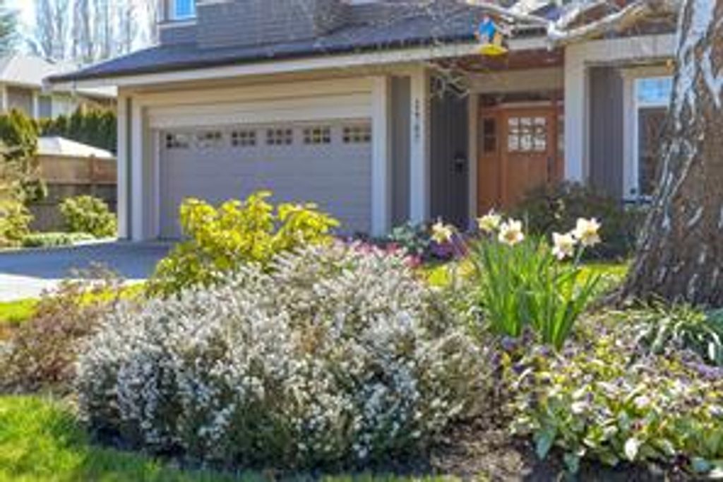 listing image 16043232493036918380