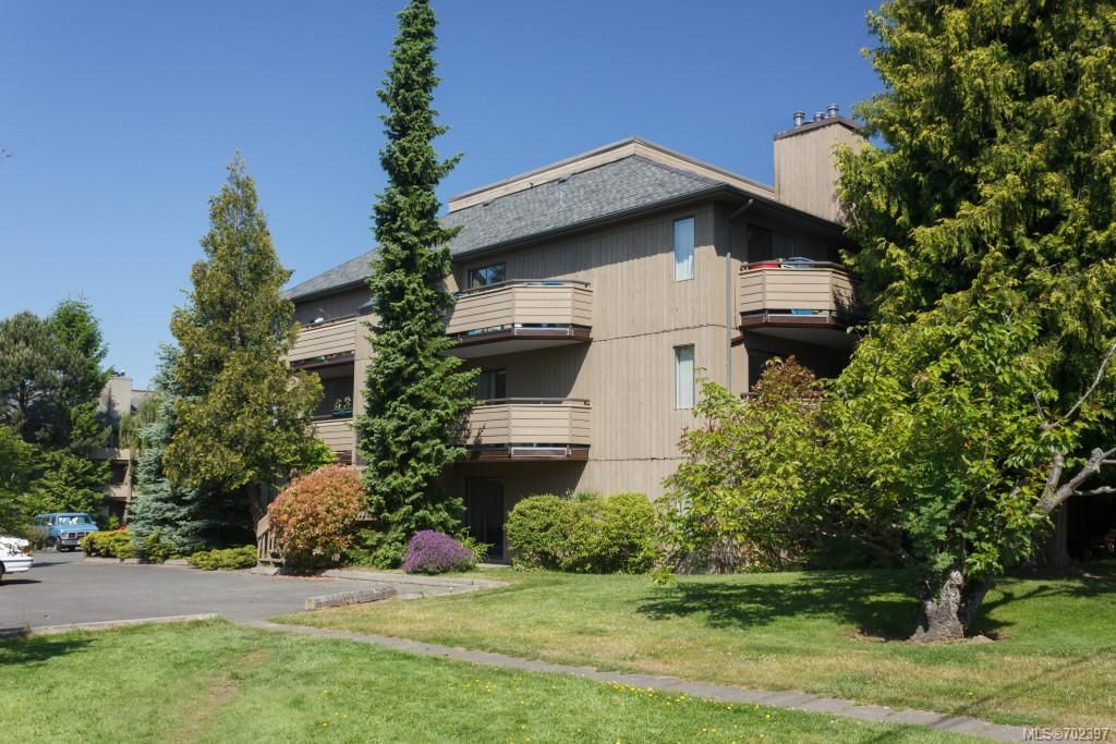 listing image 16041759412187792779