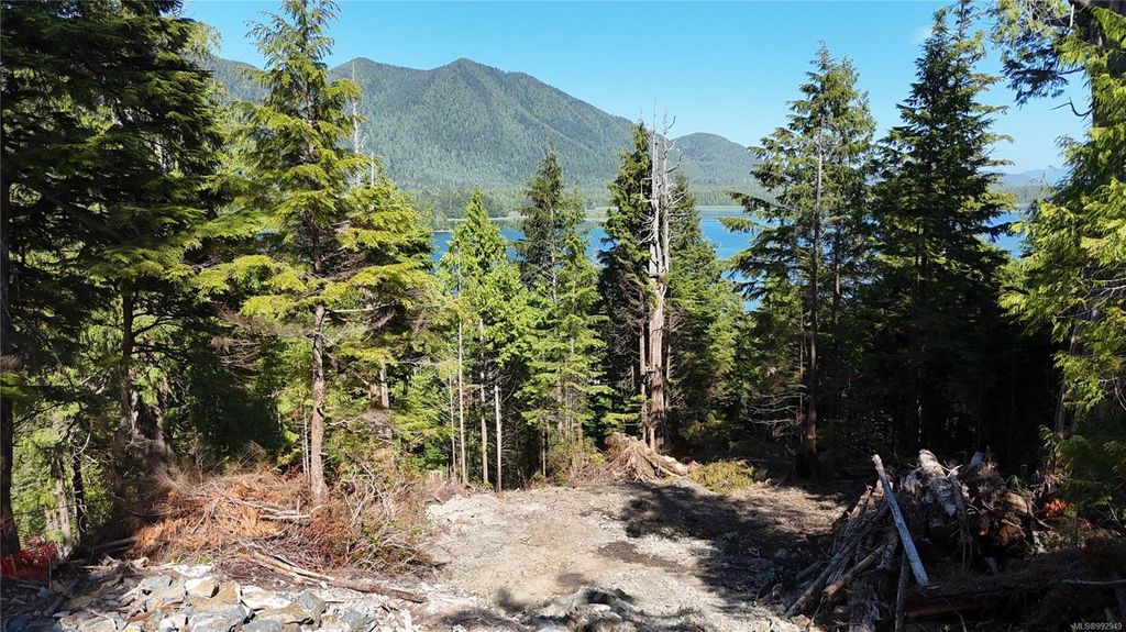 listing image 16043884214339518862