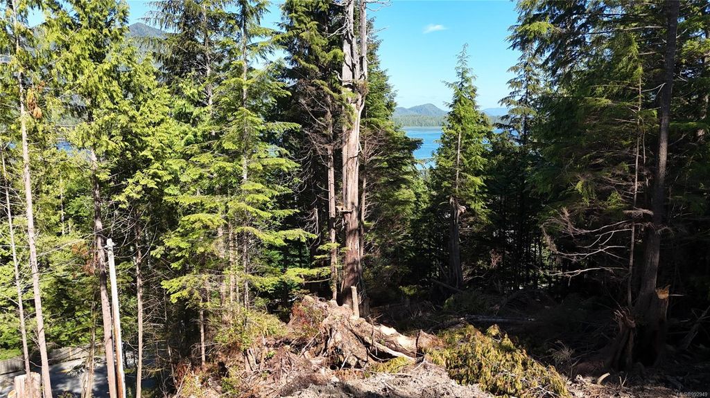listing image 16049951057775838691