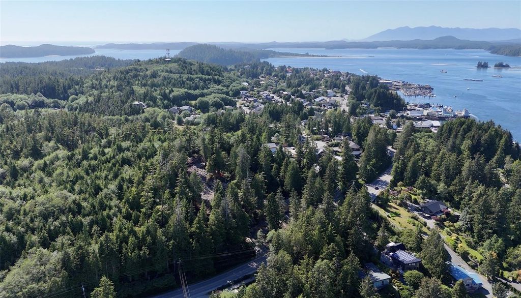 listing image 16041357561360506008