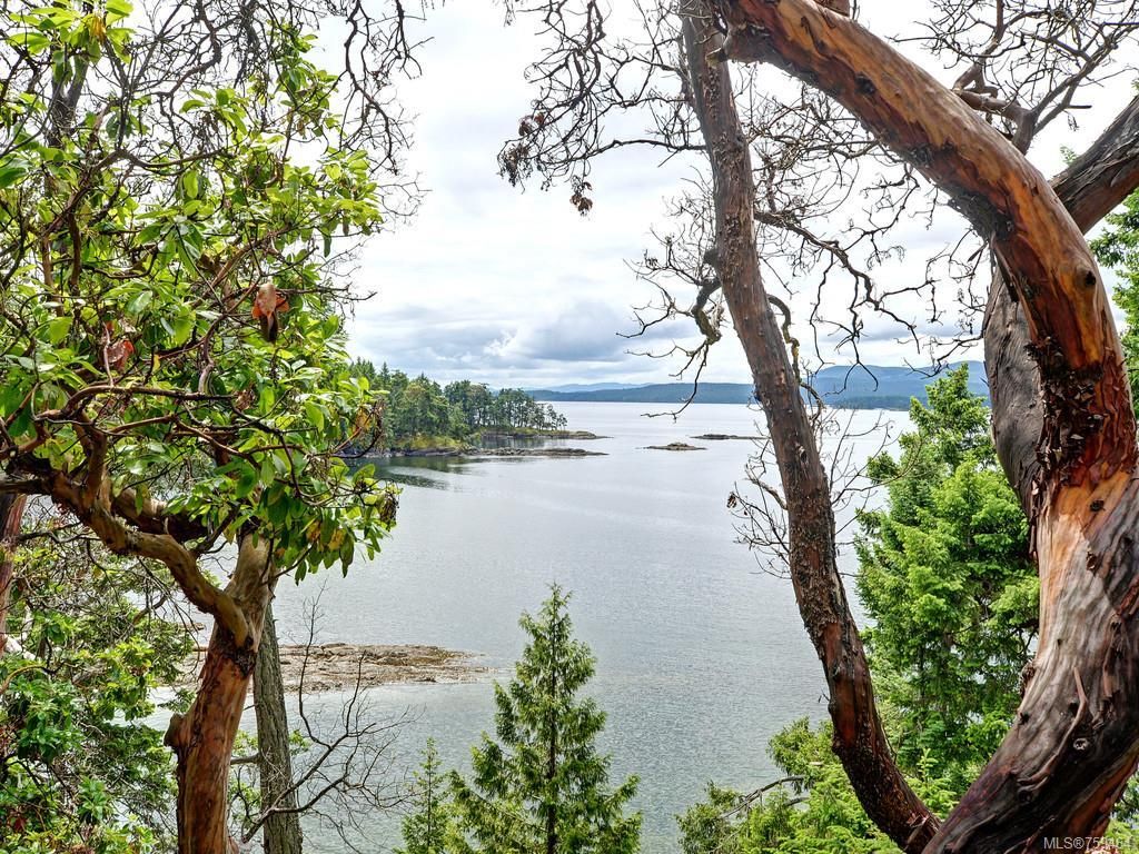 listing image 16049705855439014535