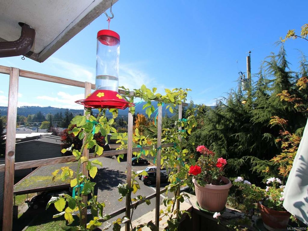 listing image 16043664936836690320