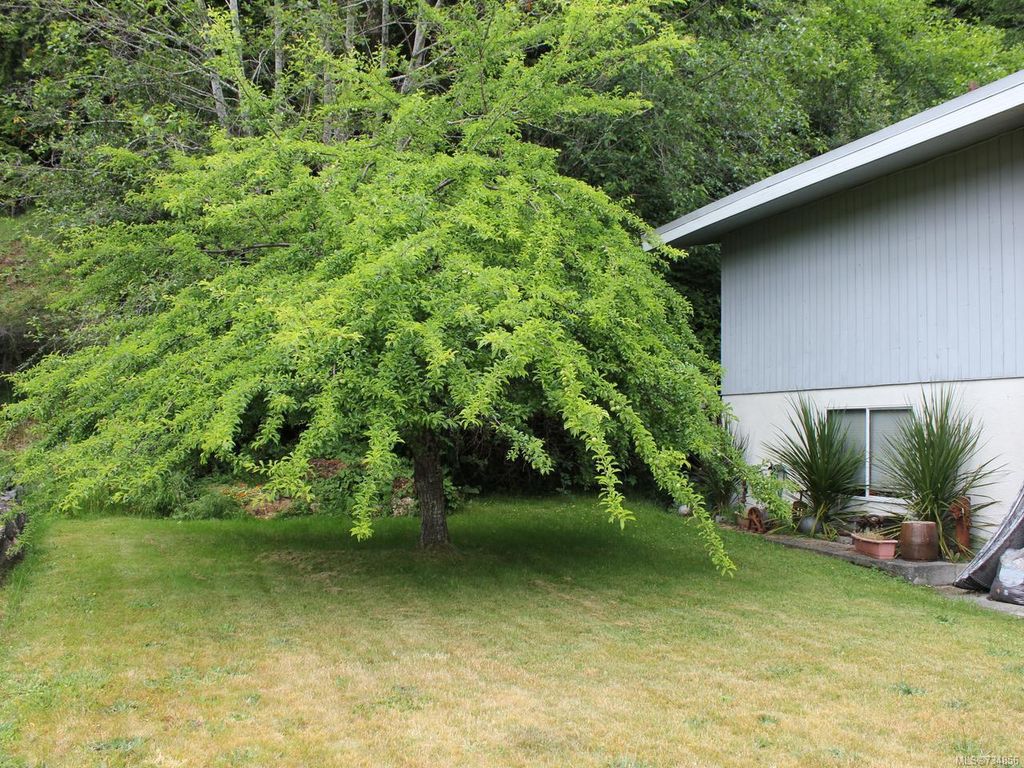 listing image 16043513636731139082