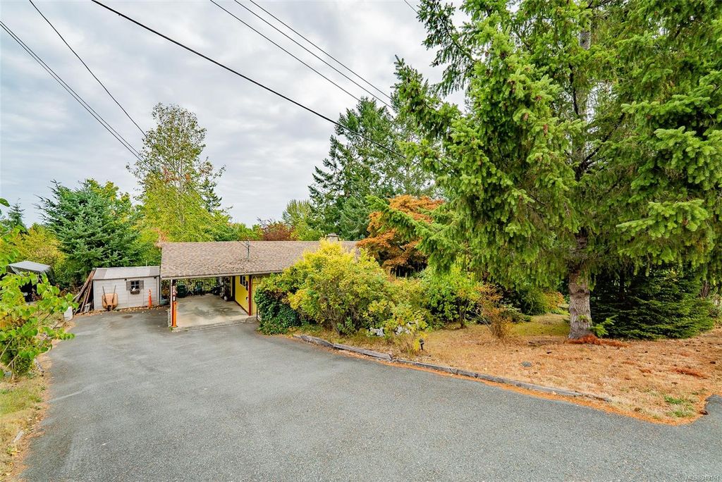 listing image 16040465744140189335