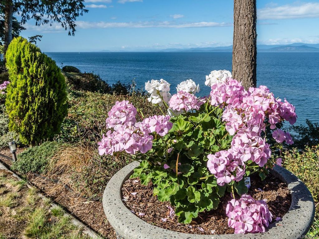 listing image 16040879283626018425