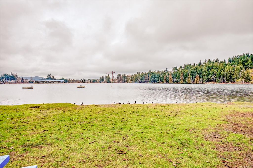 listing image 16042428379518122911