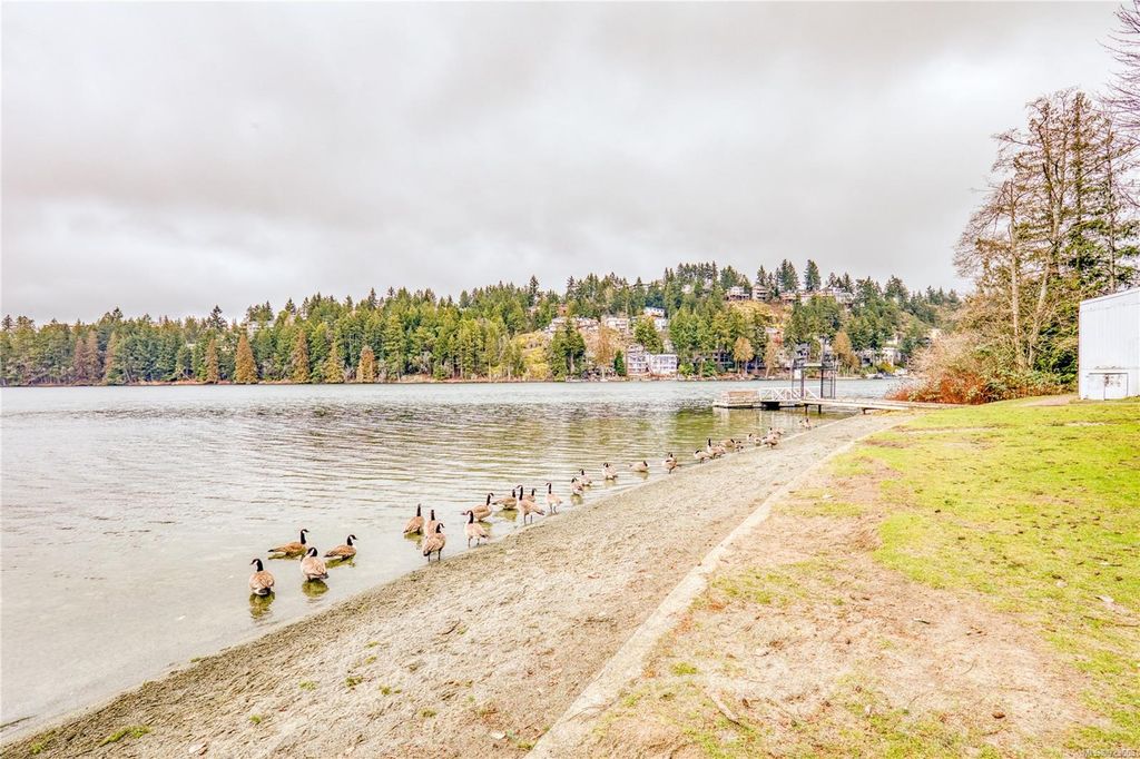 listing image 16044086166580695552