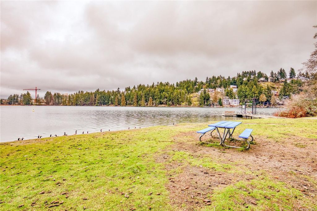 listing image 16040032974718445066