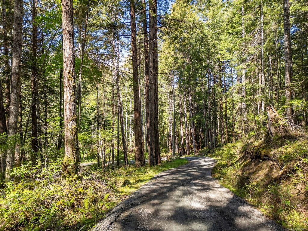 listing image 16045491879498552885