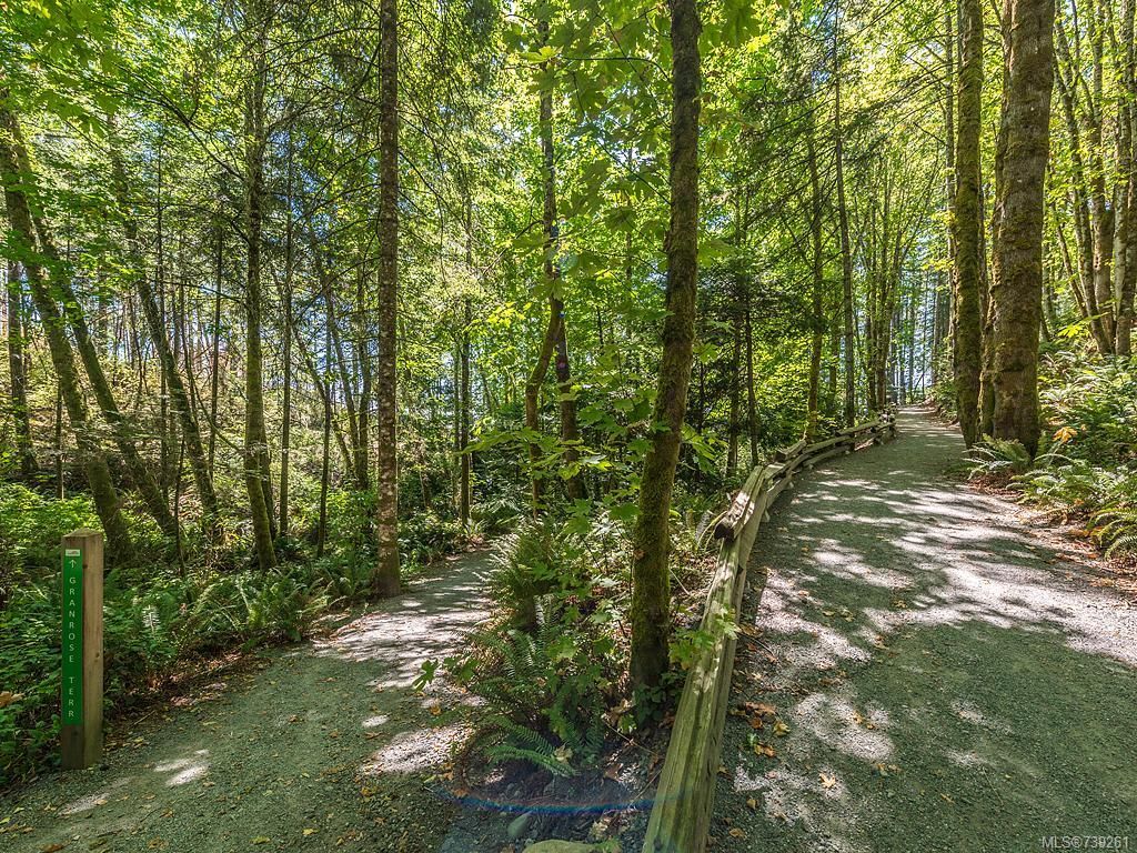 listing image 16046584026480291924