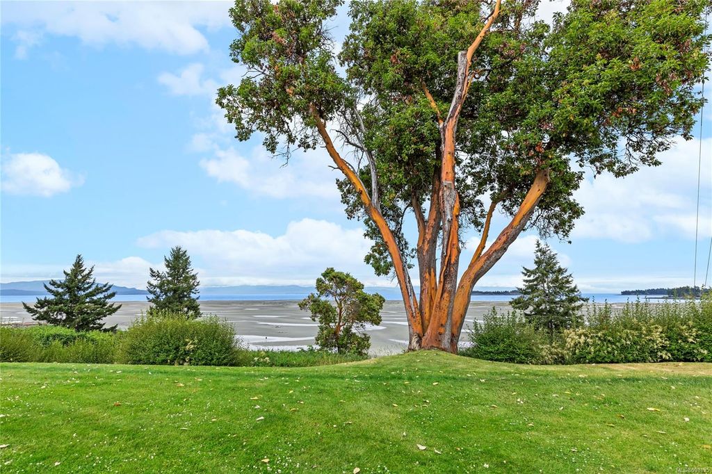 listing image 16043065445090