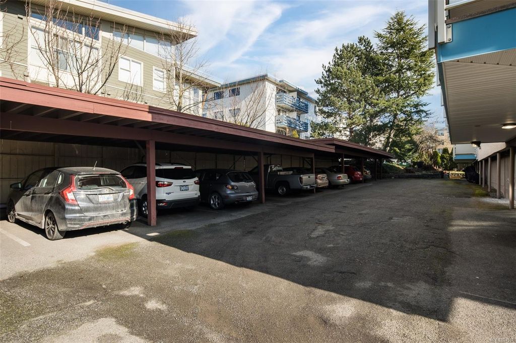 listing image 16049473566065984487