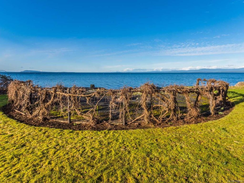 listing image 16047278548639535970